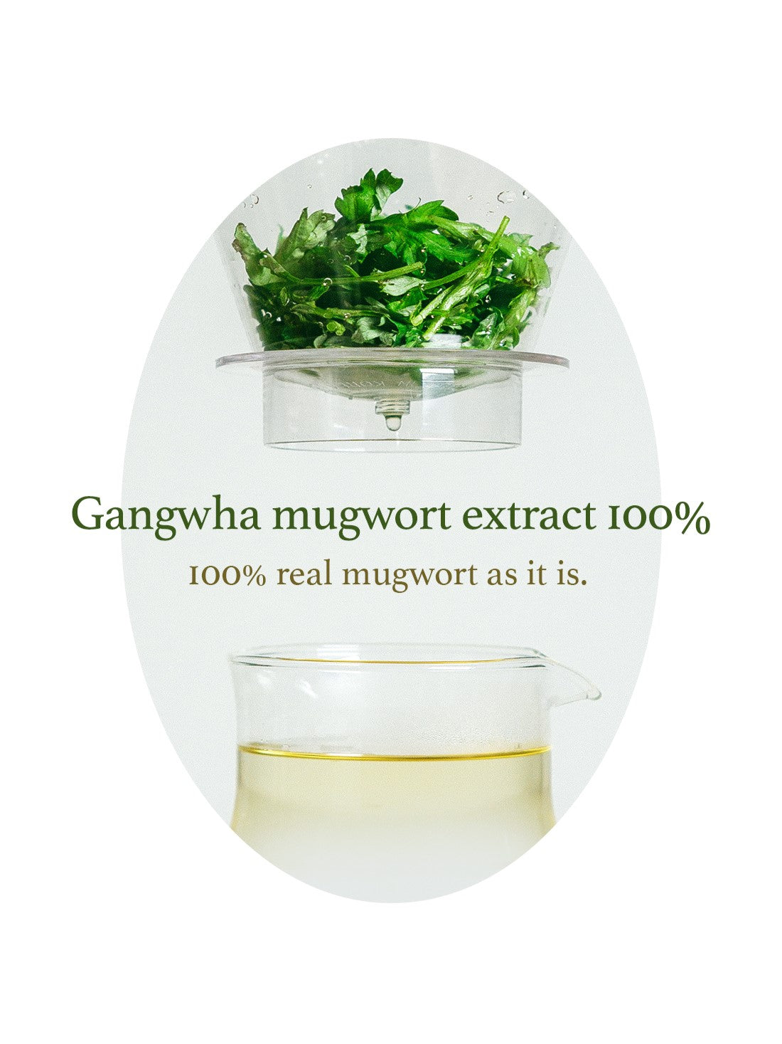 I'm From Mugwort Essence