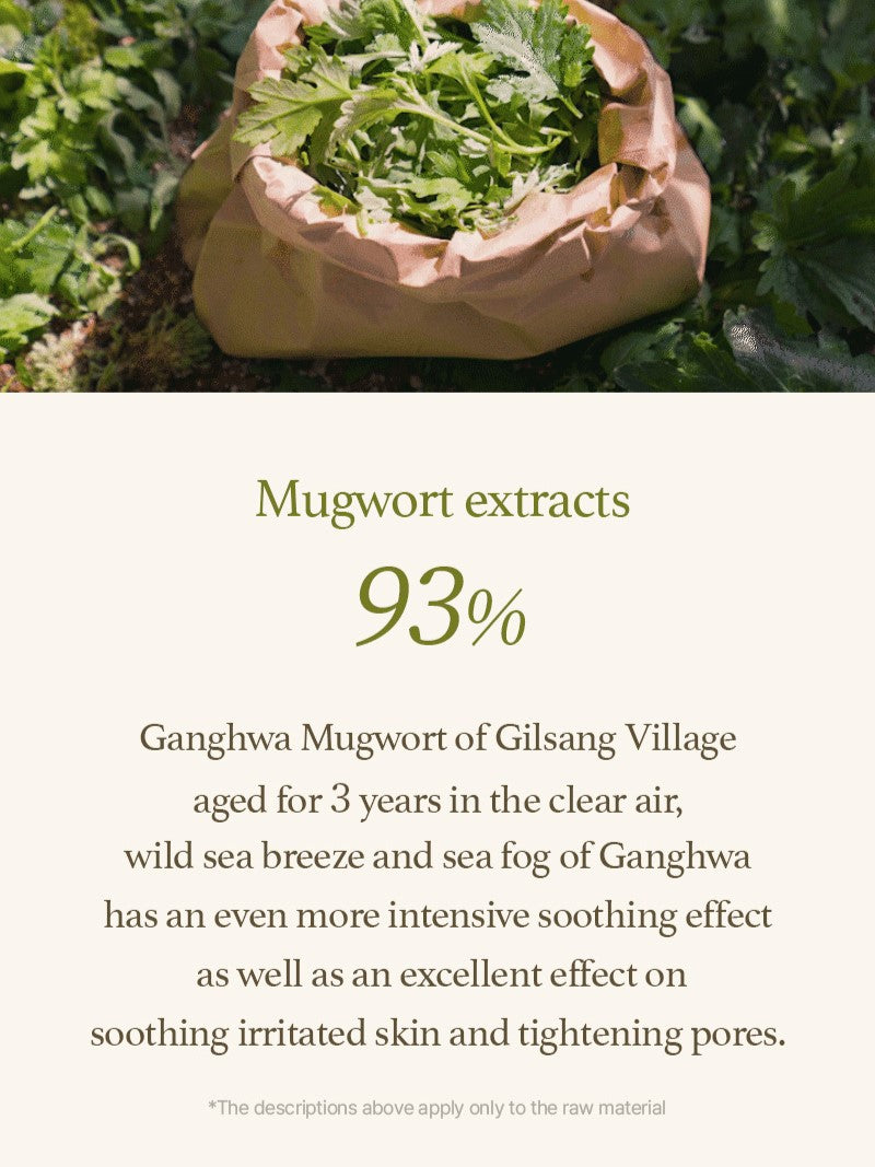 I'm From Mugwort Sheet Mask (10)