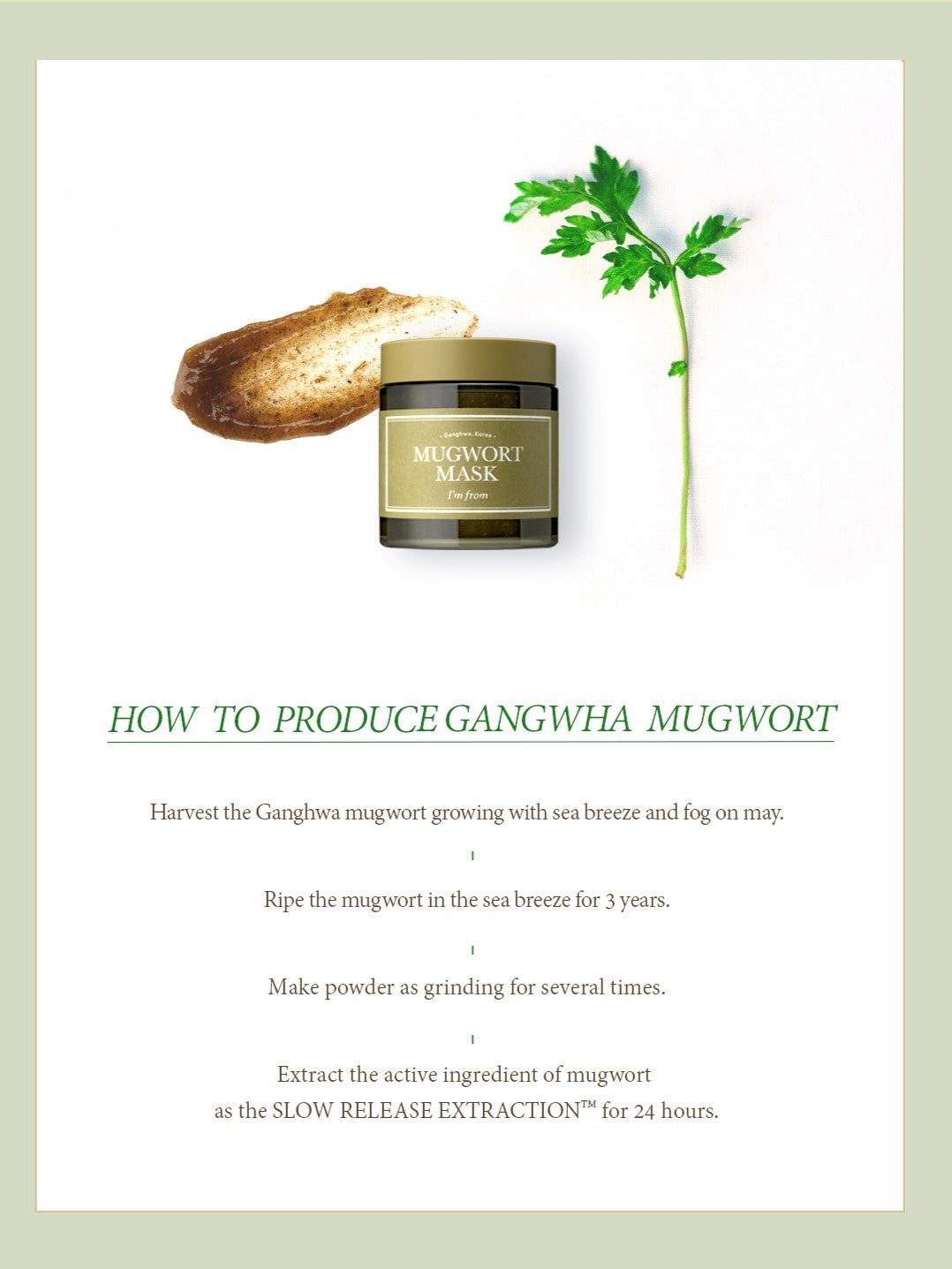 IM FROM Mugwort Mask