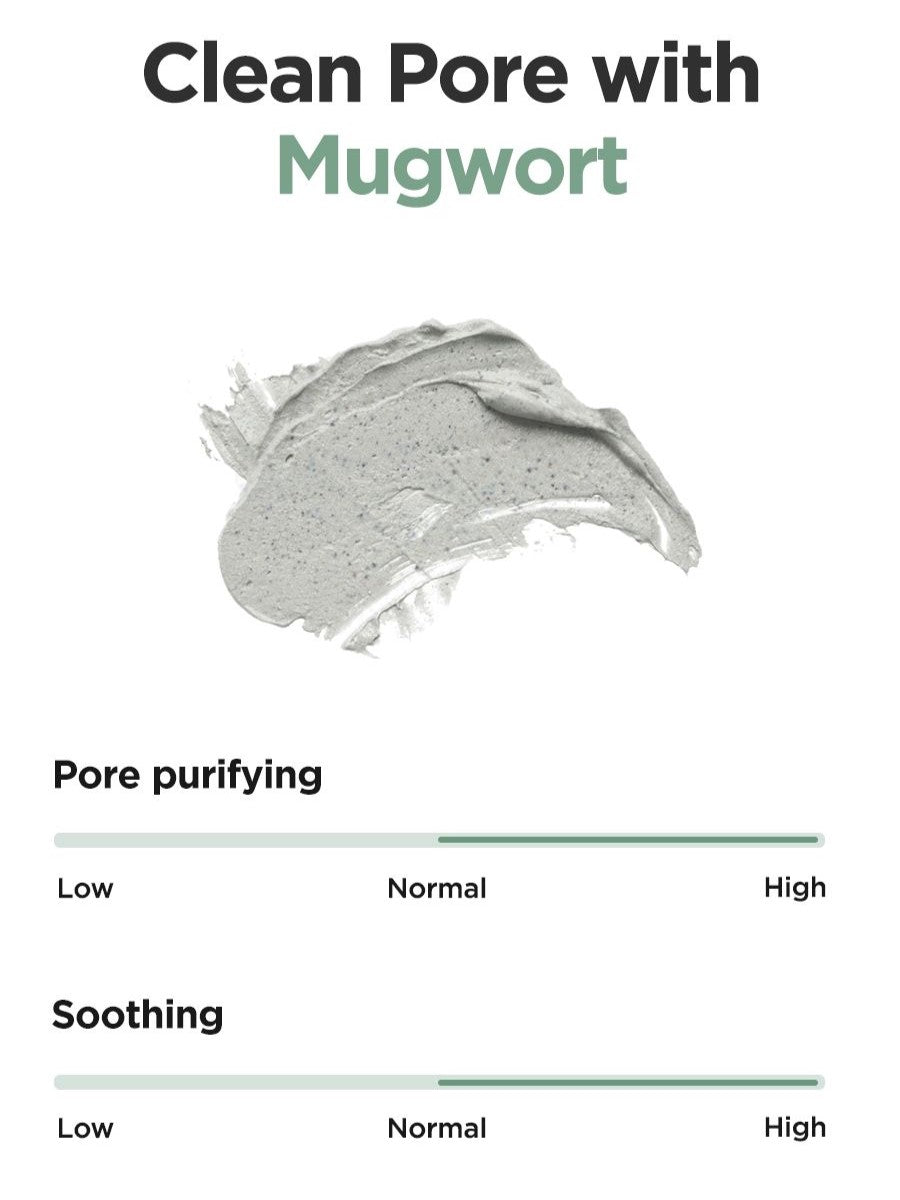 ISNTREE Mugwort Calming Clay Mask