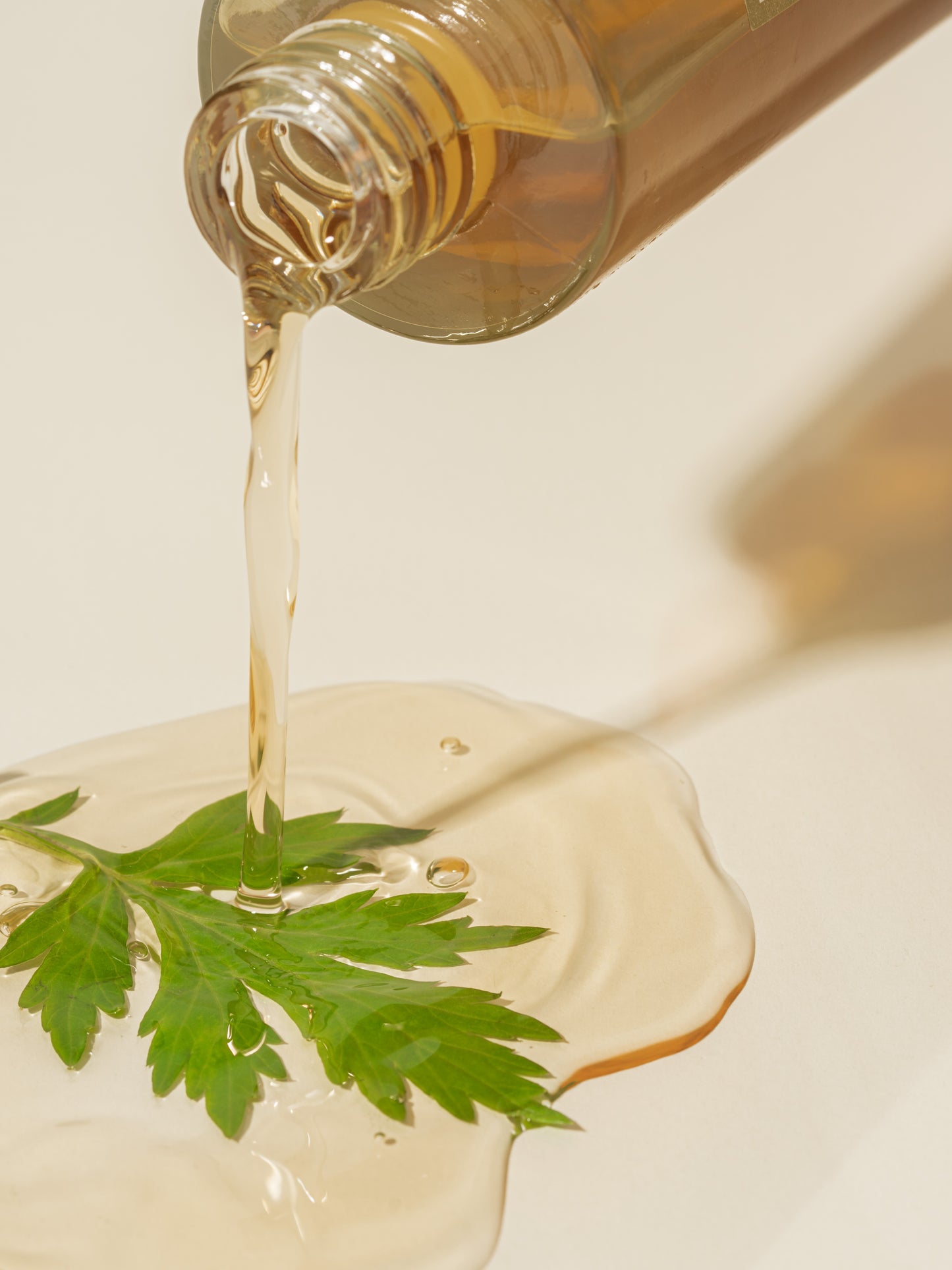 IM FROM Mugwort Essence