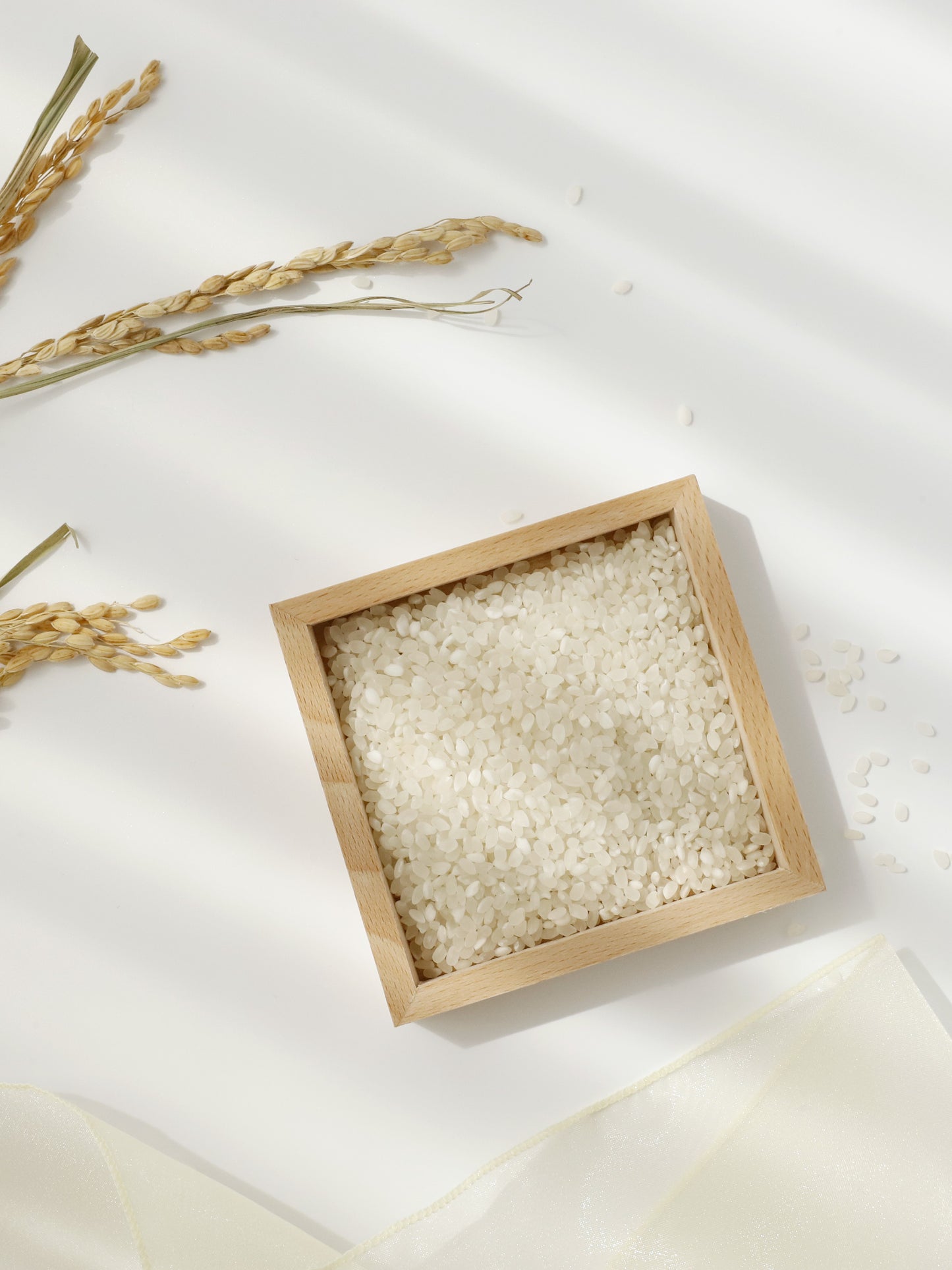 Beauty of Joseon Glow Deep Serum : Riz + Alpha Arbutine
