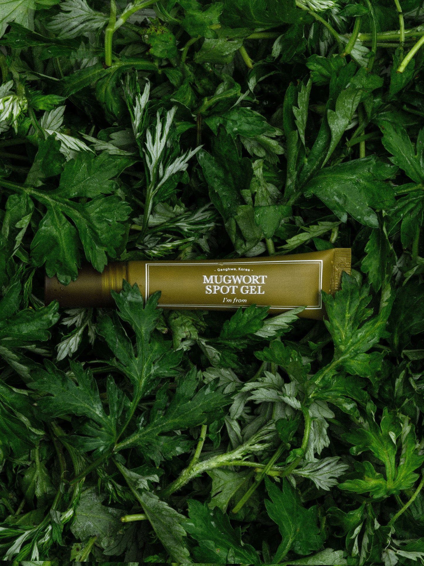 IM FROM Mugwort Spot Gel 15g