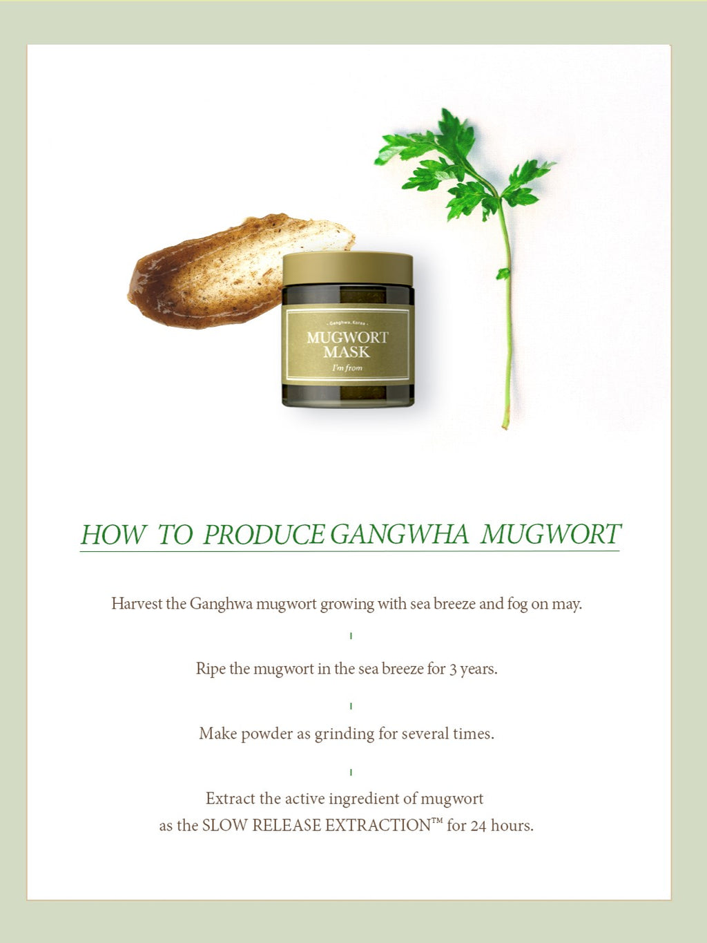 IM FROM Mugwort Mask