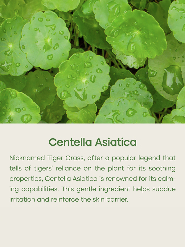 PURITO Centella Toner non parfumé 200 ml