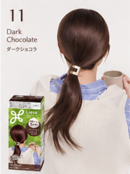 KAO Liese Foam Hair Color - 17 Color