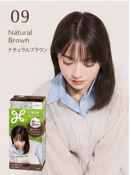 KAO Liese Foam Hair Color - 17 Color
