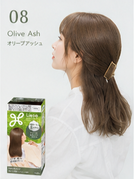 KAO Liese Foam Hair Color - 17 Color
