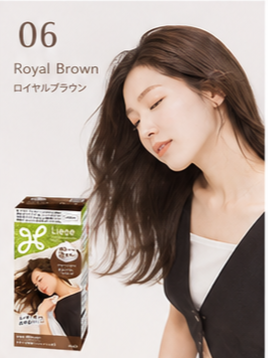 KAO Liese Foam Hair Color - 17 Color